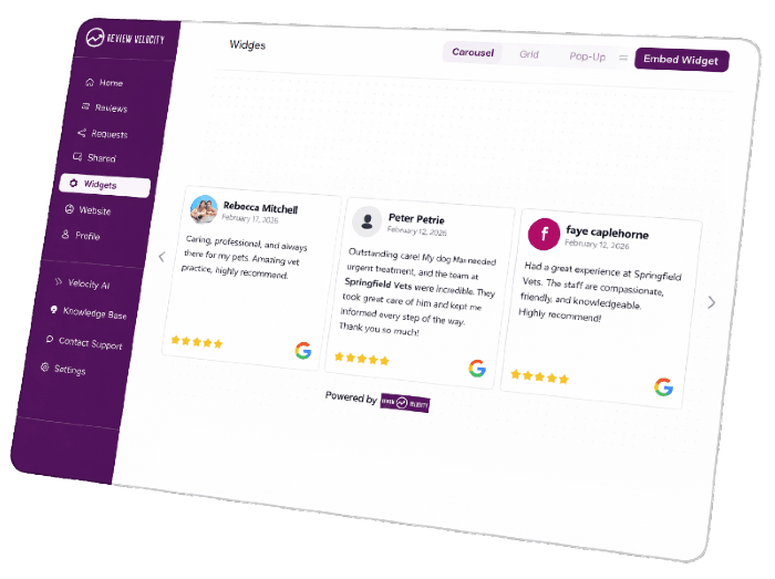 Review-Velocity-Software2SMALL Get Reviews