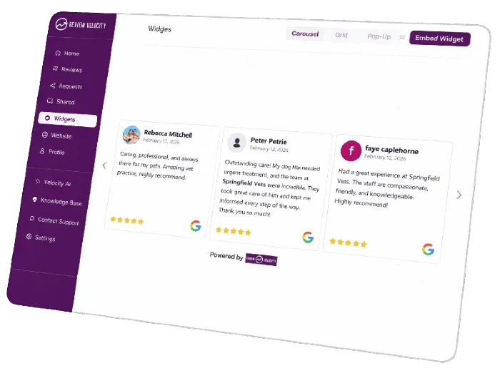 Review Velocity dashboard showing the website review widget